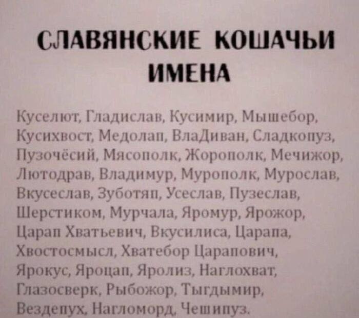 ���� ����� �������� ��� ������� ����