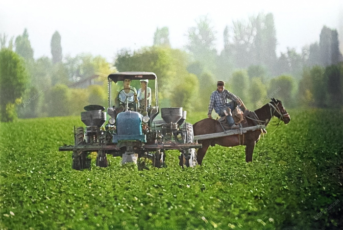 ��������: ������ ������