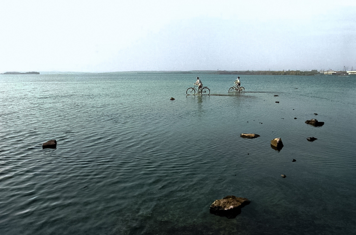 ��������: ���� ������