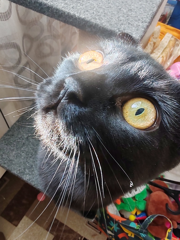 ������� ��������