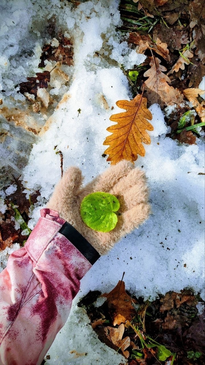 ����: ���� ������