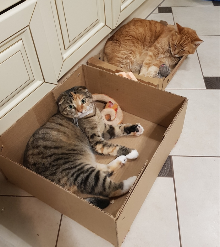 Жилье, на которое мы заработали