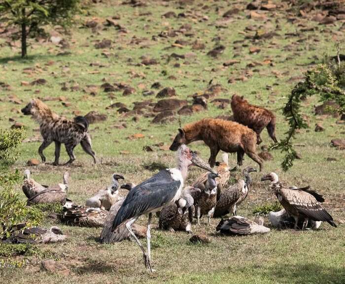 ����� �������