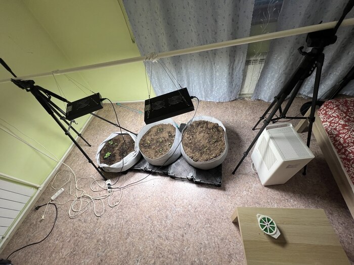 ��� ���� � ����� ������, ����� ������� �����