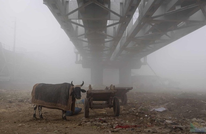 ���-����, �����. �������� ������ �����, ��� ��������������� ������, �� ������ ���� �����, ����� ������� ������� ���. ����������: ����� �����.