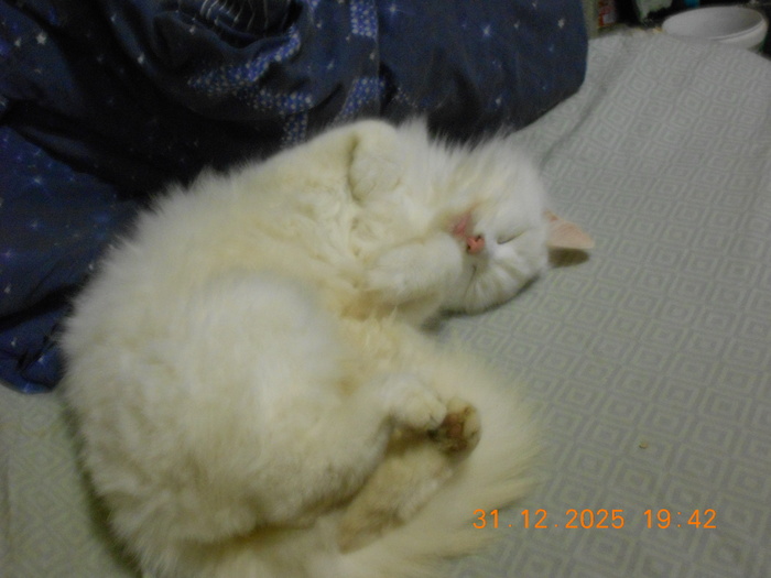 Ÿ ���������� ��������!