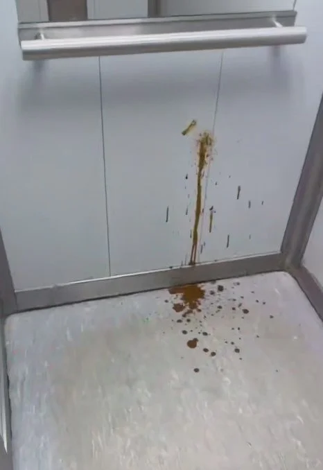 Cultural capital - Saint Petersburg, Feces, The culture, Video, Short videos, Longpost, Elevator