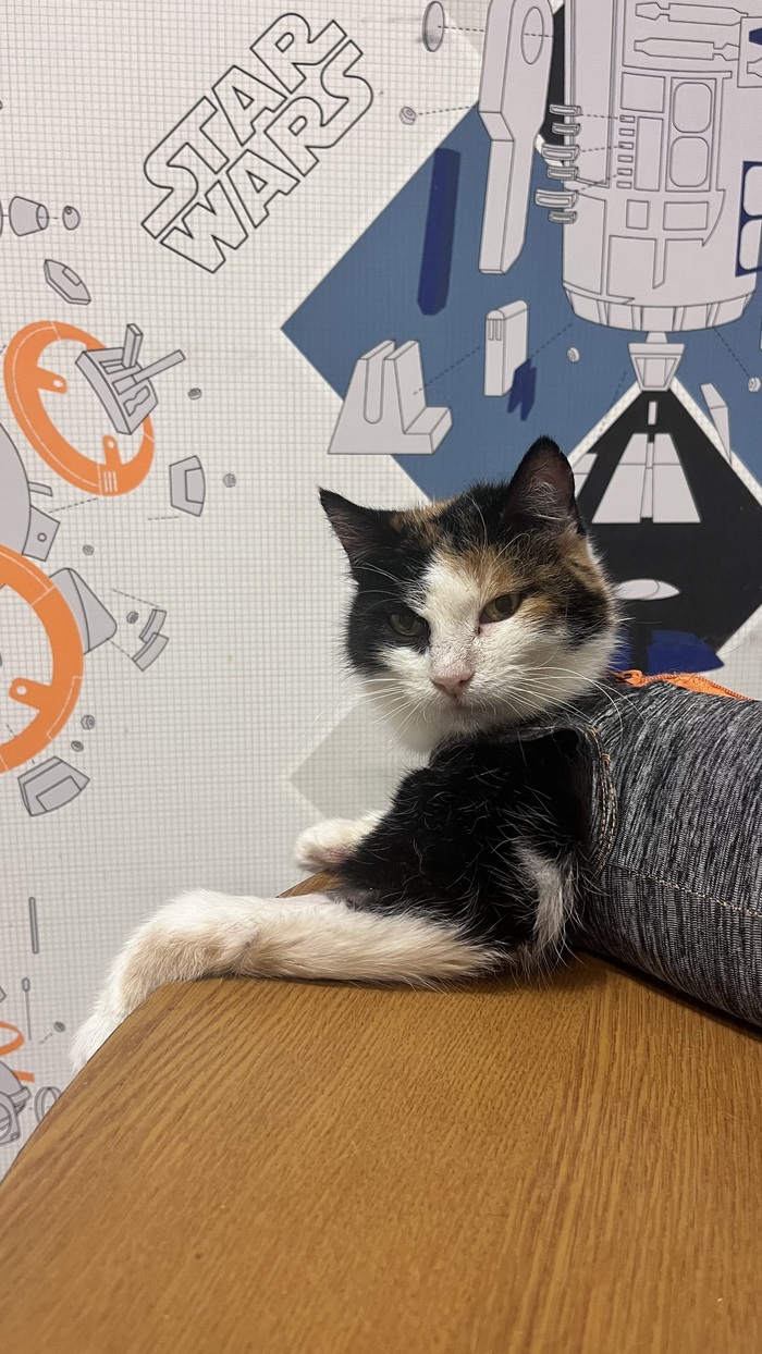 �� �� ����� �� �������. �������� �������, ����� � ��������. ������ ��� ��������. ������ ���� �������� � ���������. 