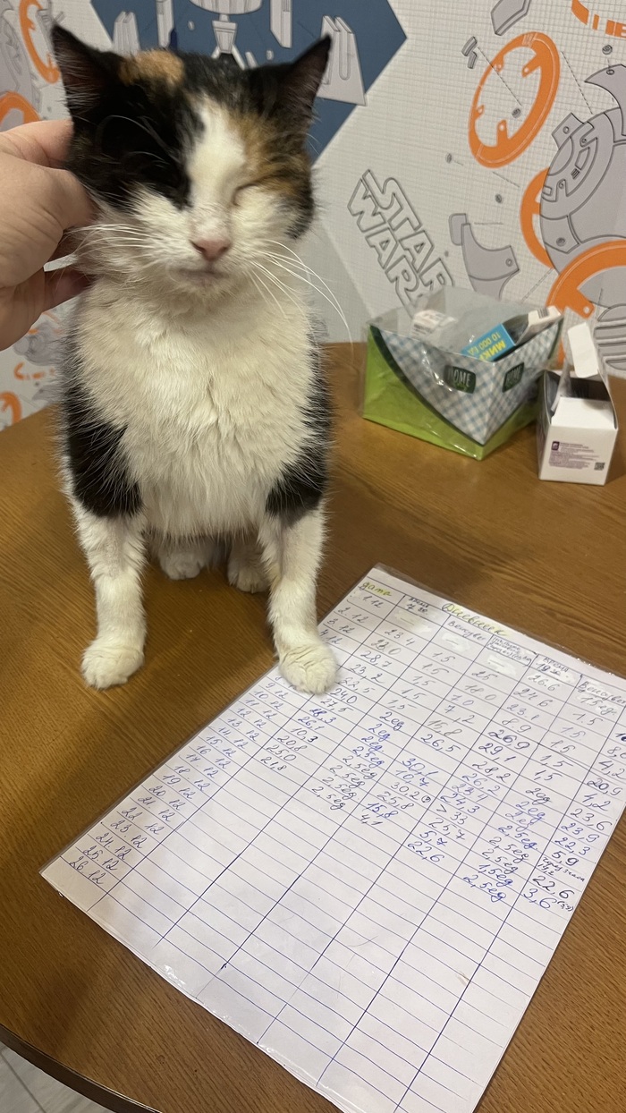 ����� ����� �������, �� � ����� ������ ����������� ������. �������� ���� �����. � ����� ������� ���������. 