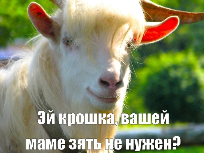 ������ ���������, �� ���� ���� ������