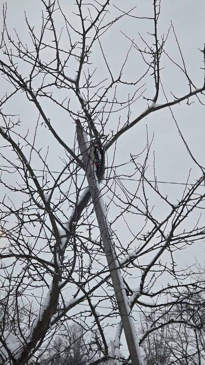 � ��� ���� �������, ���� ����������. ���� ����� �������� ���������, �� ������� �� �������.