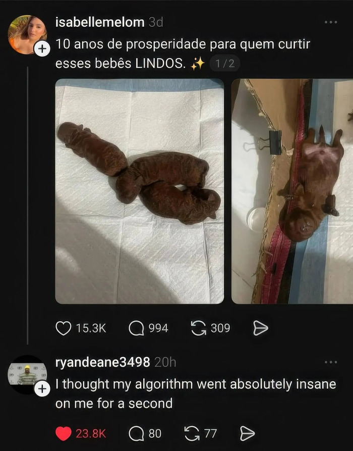 � ���� ��������� � �����������