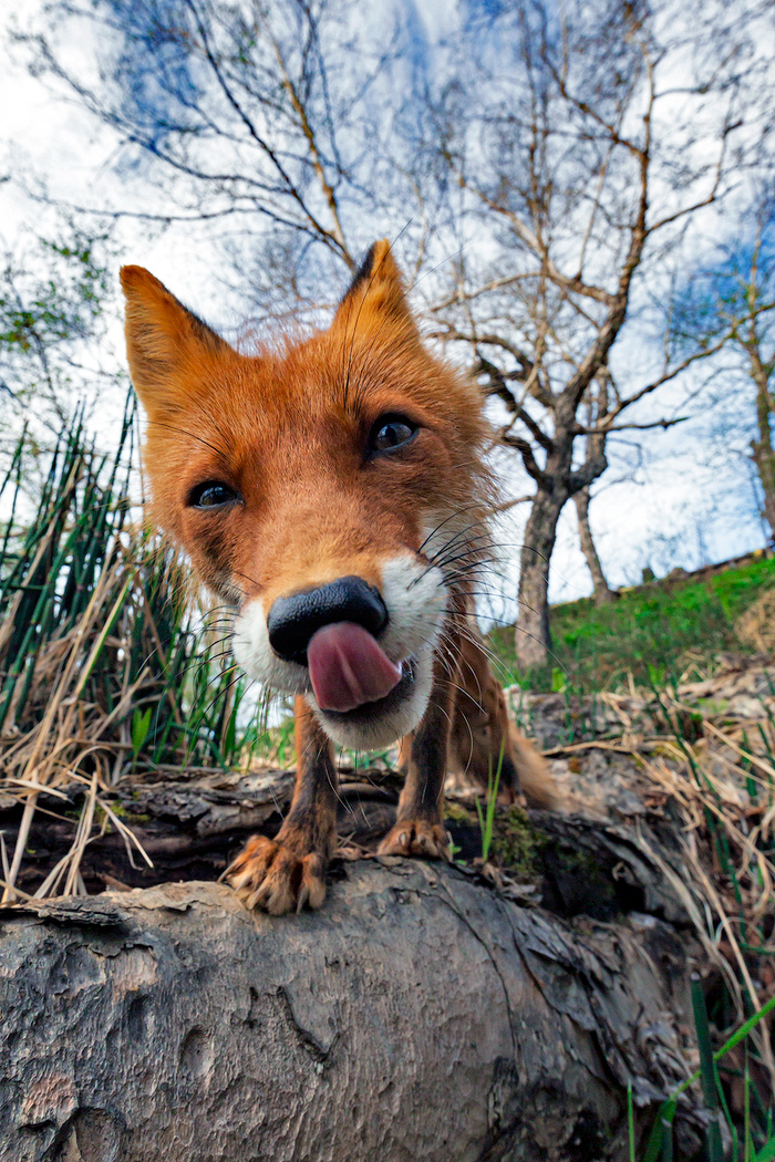 ���������� ������