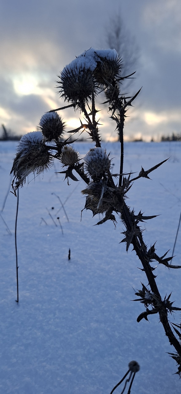 �������, ��� ����...