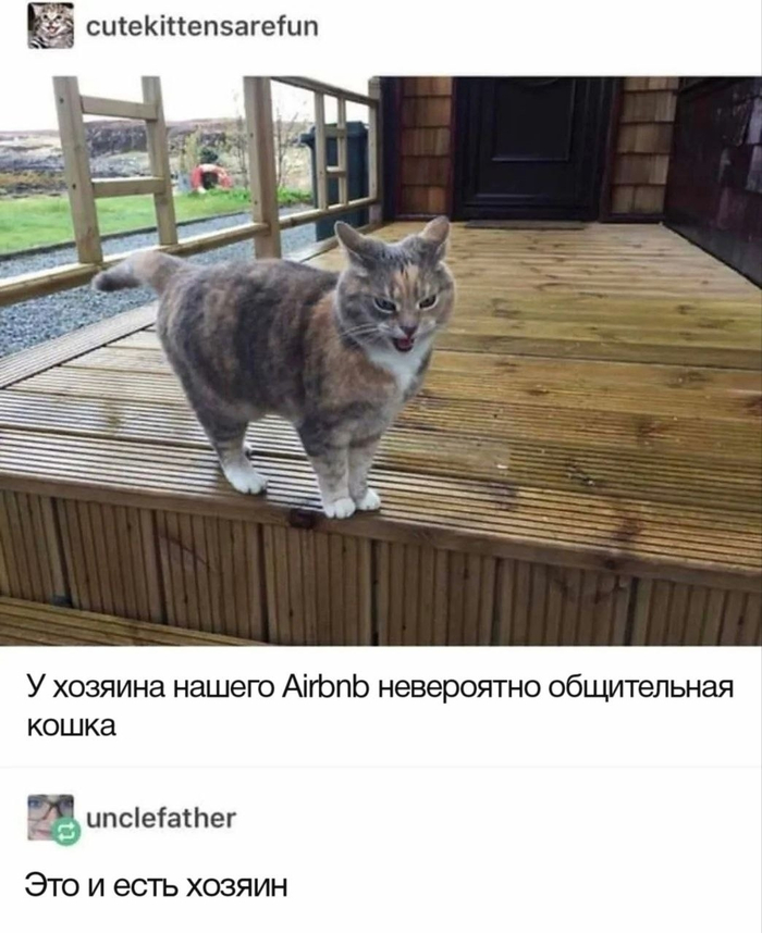 Хозяин квартиры