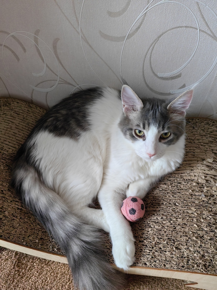 ������ �����