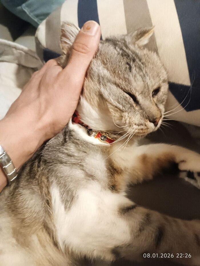 ���� ���� �������� �������