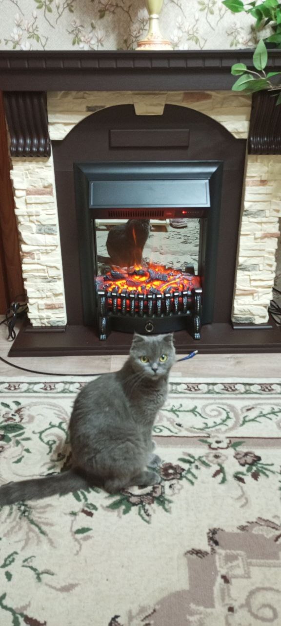 ��� �����.