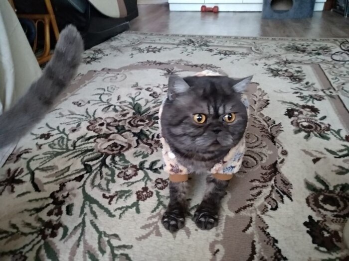 ��� ������ ������ ��� -�� �� ������ ����� ���. ������ � ��� �� ��������, ������ ��� � ���� ����� ���� � �������� �� ���.