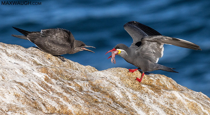 ������-����