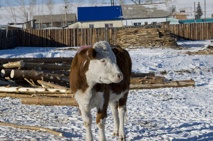 �� ����� ������, ��� �� �����, ����� ������ ��������.