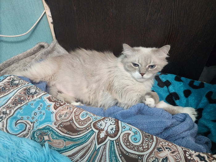 ����� �����������