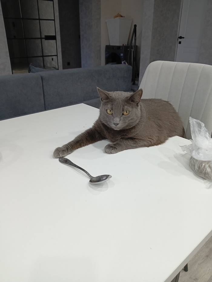 ��������� �������