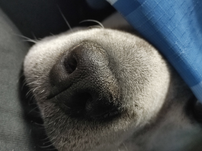 � ���� �����?