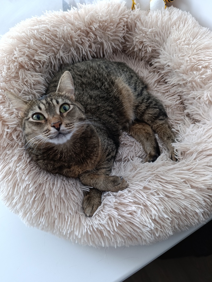 �������� ������������ �������� ������� � ������� � �������� ����