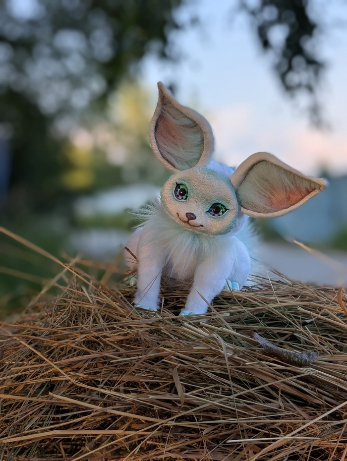 ������ ����� �� �������� 🐾