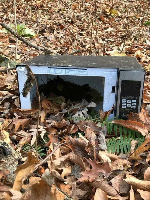 ��� ������������ ���� �������� ��������