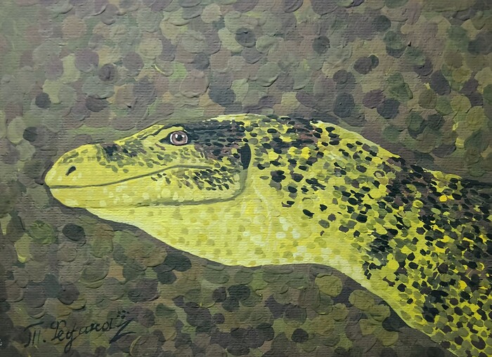 ����� �������