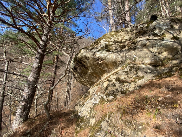 ������-���