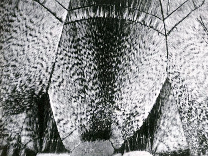 ��������������� ���������� ��������� ���������� ��� �����������