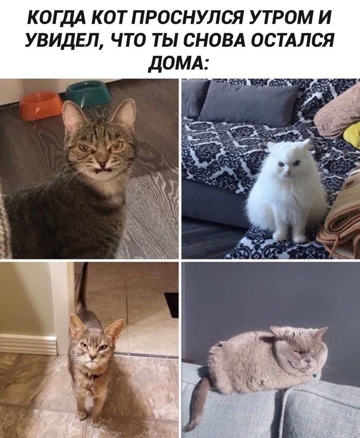 � ����������� ���, �������, �������)