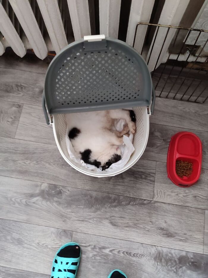 ��� ��������� ����?