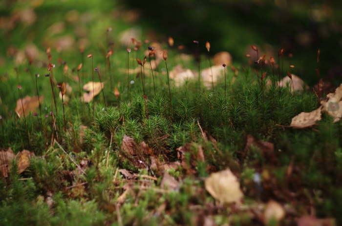 ��������� ����� �����