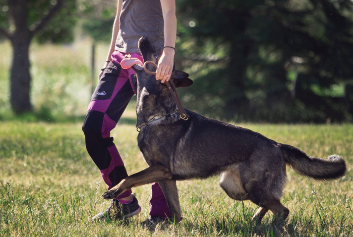 ������ ���� ������ ��� ����������?