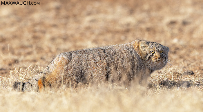 �� ��������? ���� �� ����������� ������