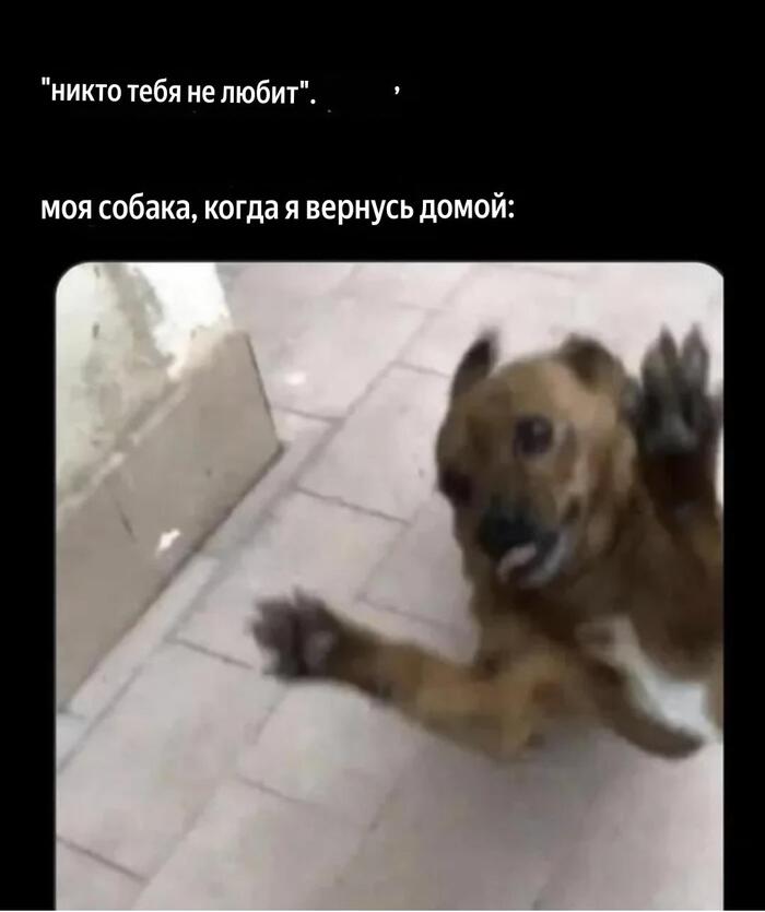 ������� ��