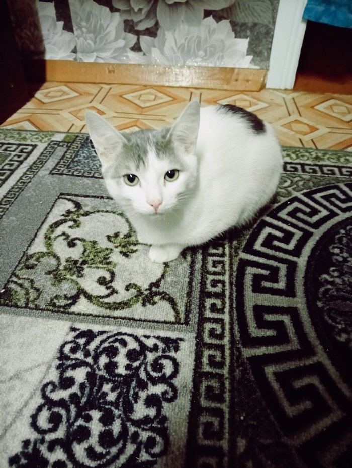 �������, ����� ���������