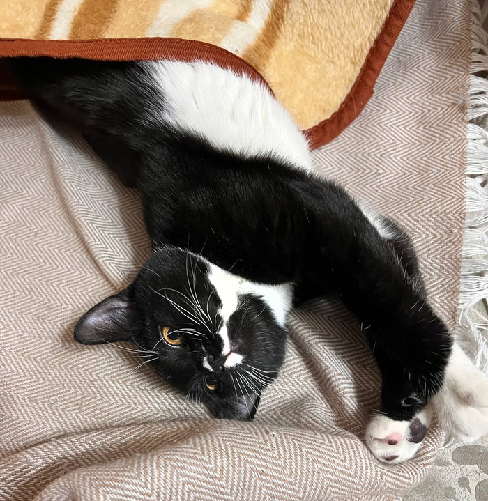 ������ � ������ � ����� � ������