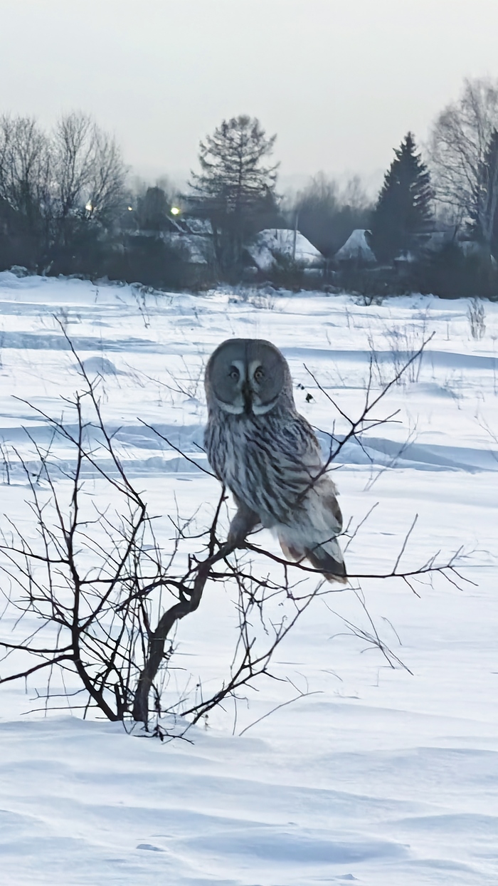 ��������� �������. ��� �� ������� ����� �������, ��� �� ������ ������, ��� �� ��������� ����, ��� �� ����������� ����