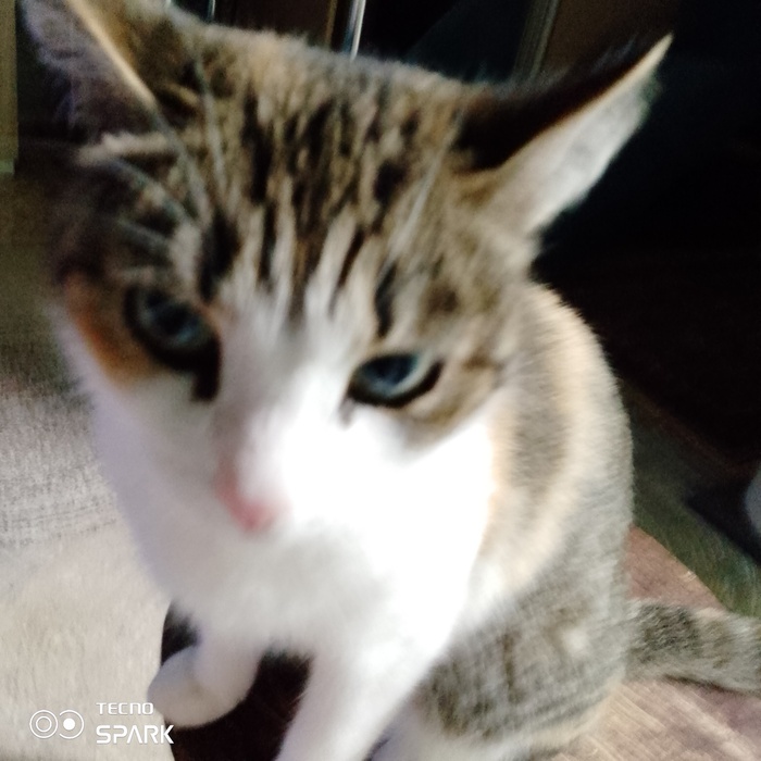 Где этот парень, который, бухой всем лайки ставил!???!! Я не поставил ему, пролистал... Найдите..Хочу вернуть))