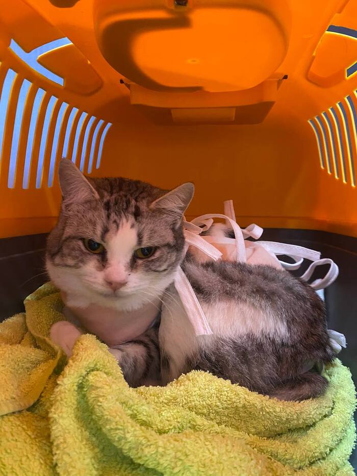 ���� ������ ����� ������ �� ������������