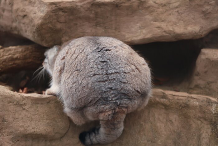 ����� ������ ����� �� ������)))