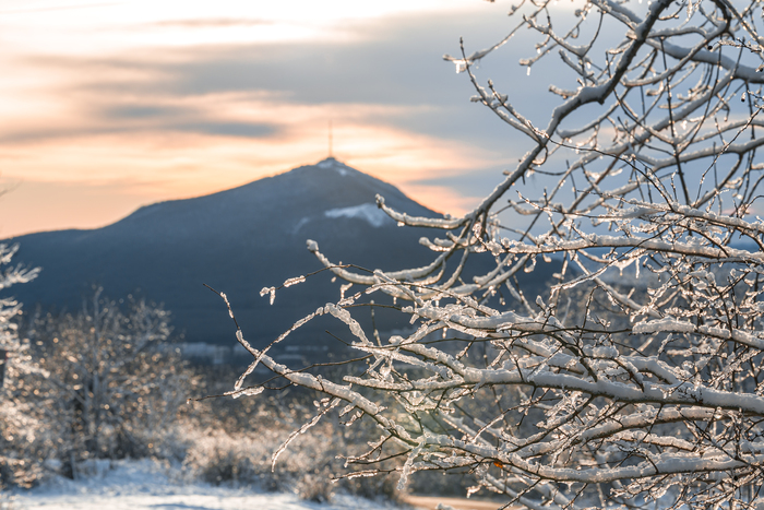 ���� ����� , ��� � ������ 