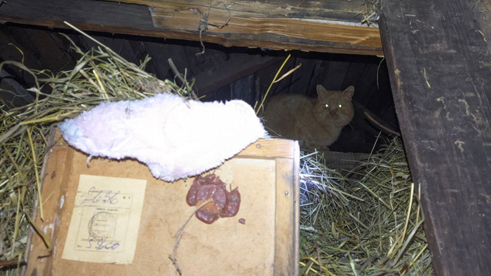 ������� �� �����. ������ ���