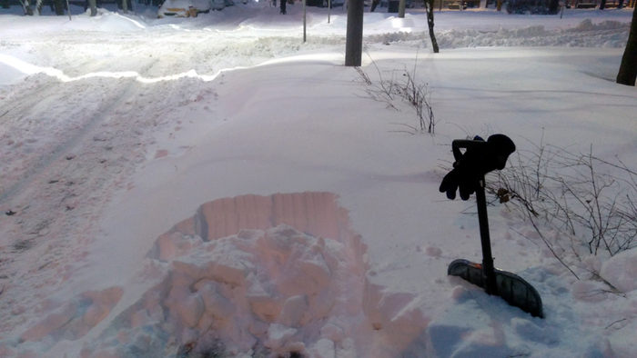 ��������: ���� �����, ��� �� ���������� � ��