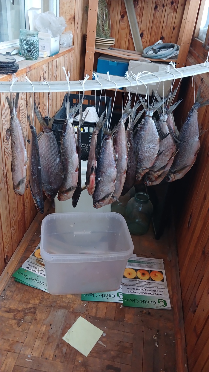 ������� �� �������. �����, ��� ����� ���� ������ ����� ����� ������� ����� ��� ��������� �������. 